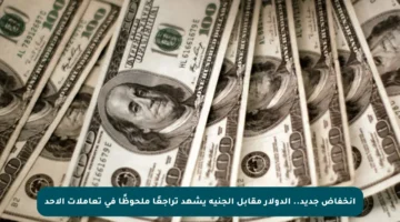 انخفاض جديد.. الدولار مقابل الجنيه يشهد تراجعًا ملحوظًا في تعاملات الأحد